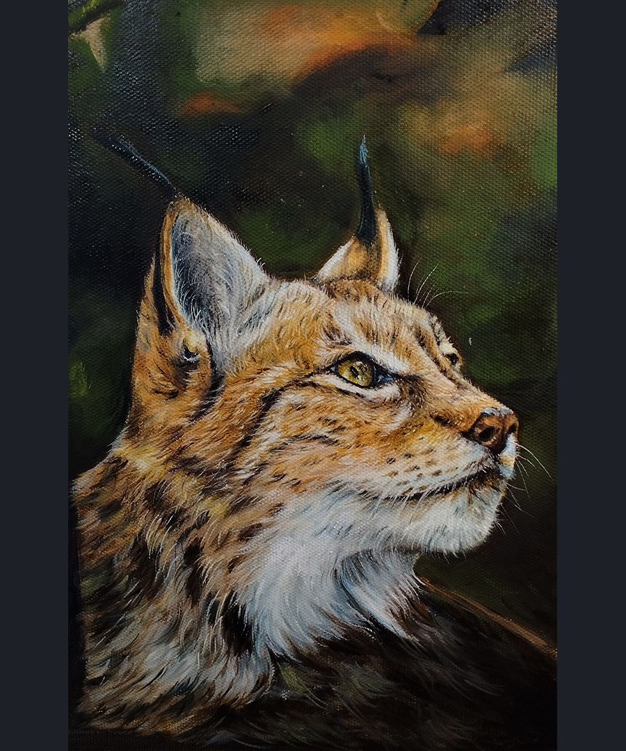 homenaje al lince iberico