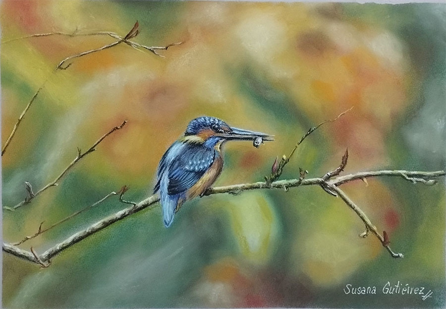 la belleza del martin pescador